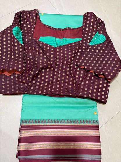 #narayanpetsaree #petternblouse