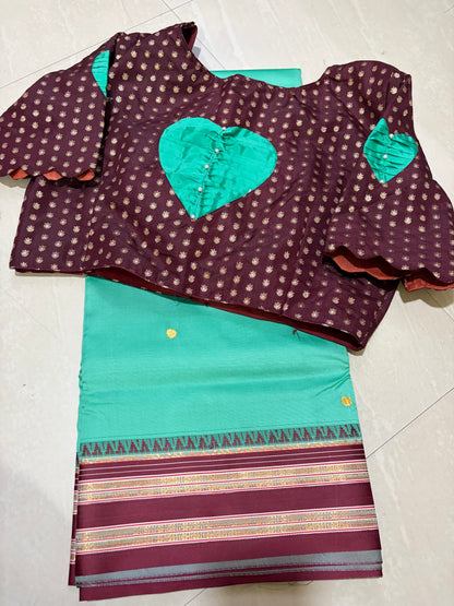 #narayanpetsaree #petternblouse