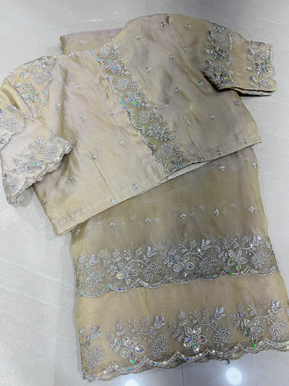 Tissue organza sari- tissue saree- ready to wear saree